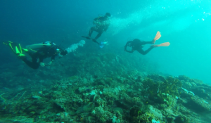 Gorontalo, Surganya Spot Fotografi Bawah Laut Keren