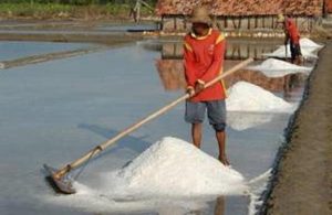 DPR Minta Pemerintah Benahi Tata Niaga Garam