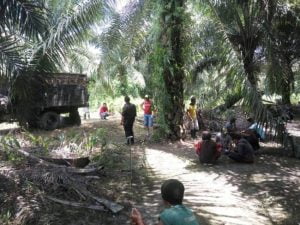 DPRD Geram Dengan PT. Mamuang dan PT. Pasangkayu