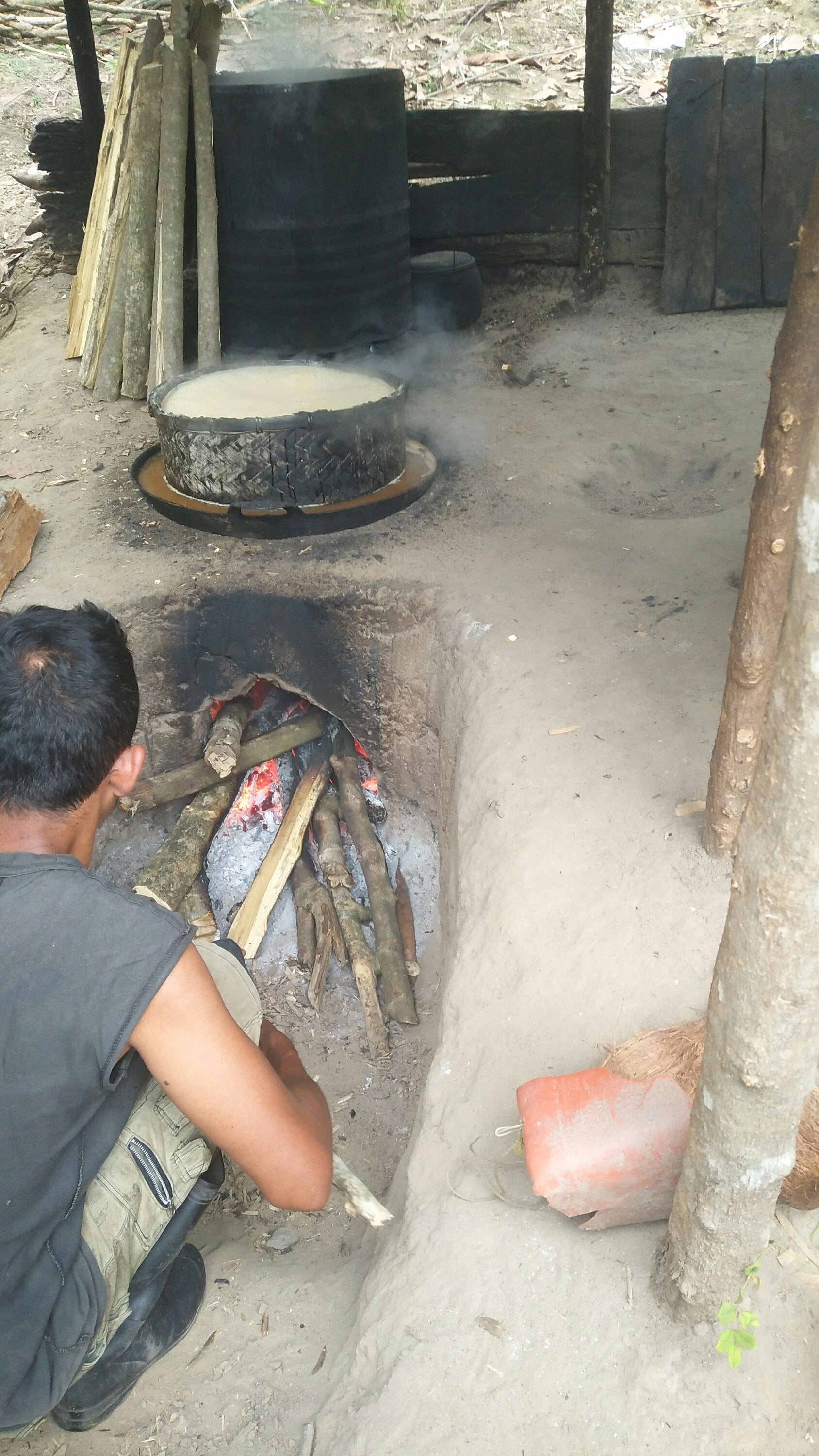 ​Pemanfaatan Hutan di Seputaran kawasan TNLL