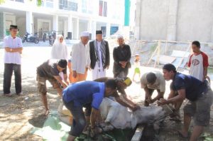 Menurun,Jumlah Hewan Kurban di Lingkup Kejati Sulteng Tahun 2018
