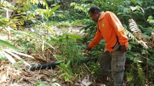 Dibangun tahun 2016,Sarana Air Bersih Desa Palau tidak berfungsi