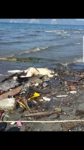 Pemprov Sulteng Upayakan Stabilasasi Kondisi di Kota Palu