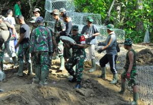 Bangun Semangat Kebersamaan,Dandim 1306/Donggala Turut Kerja Bakti Bersama Satgas dan Masyarakat di TMMD