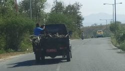 Mobnas Buang Sampah Sembarangan,Dinas Kominfo Sulteng Minta Maaf