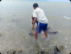 Terseret Hingga ke Pantai Talise,Warga Poi ditemukan Tewas Terapung