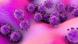 Waspada Virus Corona : Mengenal Cara Penyebaran Dan Gejalanya