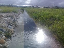 Proyek Irigasi Meko Diduga Gagal Konstruksi,Puluhan Hektar Sawah Gagal Kelola