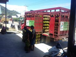 Jual Melebihi HET, Pemda Tolitoli Razia Pangkalan dan Pengecer Gas LPG 3 Kg