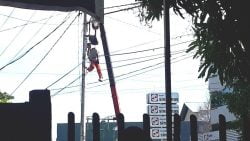 Tunggakan PPJU Pemkot Palu Capai Rp, 12 M, Sigi Rp,20 M, Donggala Rp,8 M Dan Parimo Rp,5 M