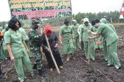 Wujud Sinergitas Dengan Babinsa,Masyarakat Hibahkan Lahan Untuk Dukung Program Ketahanan Pangan