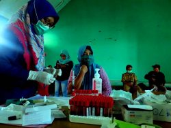 KPU Kota Palu Rapid Test 699 Orang Petugas Pemutakhiran Data Pemilih