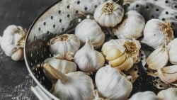 5 Manfaat Bawang Putih bagi Kesehatan