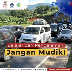 Paksakan Mudik Bisa Timbulkan Lonjakan Kasus Baru