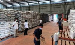 Dinas Ketahanan Pangan Parimo Salurkan 2.499 Ton Beras Bagi Isolman