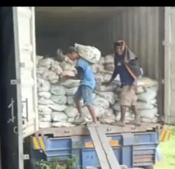 Material Tambang Asal Hutan Lindung Oyom Diduga Diseludupkan Pakai Jasa Kontainer Di Pelabuhan Pantoloan