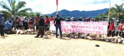 Kisruh Pembebasan Lahan ,Masyarakat Bungintimbe Demo PT SEI
