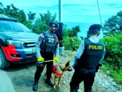 “Cendy “ , Anjing Pelacak K9 Milik Polda Sulteng Bantu Pencarian Hilangnya Dokter Faisal di Tolitoli