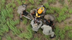 Tingkatkan Kemampuan SAR , Brimob Sulteng Latihan Heli Rescue