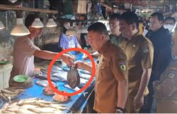 Larang Penggunaan Kemasan Plastik Sekali Pakai, Hadianto Rasyd Diduga Belanja Ikan Pakai Tas Plastik Kresek di Masomba