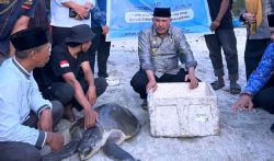 Wabup Donggala Lepas Liarkan Penyu di Pantai Wisata Lentora