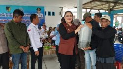 Maksimalkan Potensi Sumber Daya Laut, Bupati Donggala Vera Laruni Gagas Ekonomi Biru