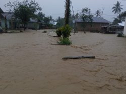 3 Jam Diguyur Hujan Deras, Desa Tanamea Terendam Banjir.
