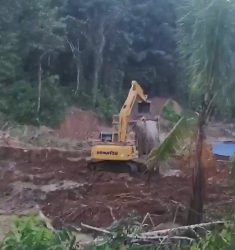 PETI di Hutan Busak Menggila, Isu Setoran Keamanan Mencuat
